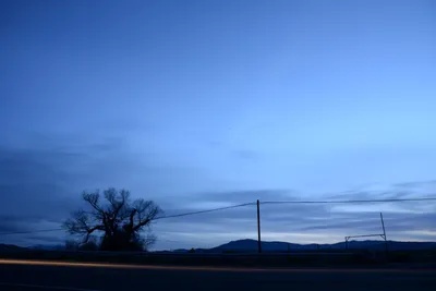 DSC_1135 (Large).JPG